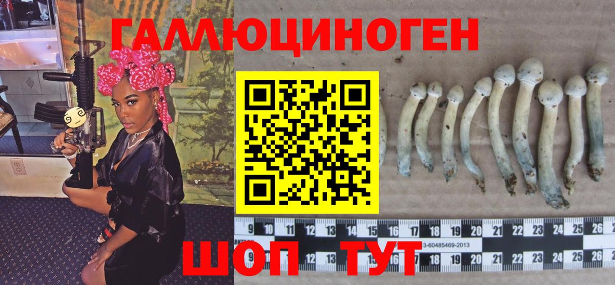 Псилоцибиновые грибы GOLDEN TEACHER  как найти   Псилоцибиновые грибы MAGIC MUSHROOMS  Тимашёвск  Вход с VPN 