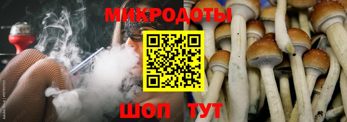 Галлюциногенные грибы мухоморы Тимашёвск